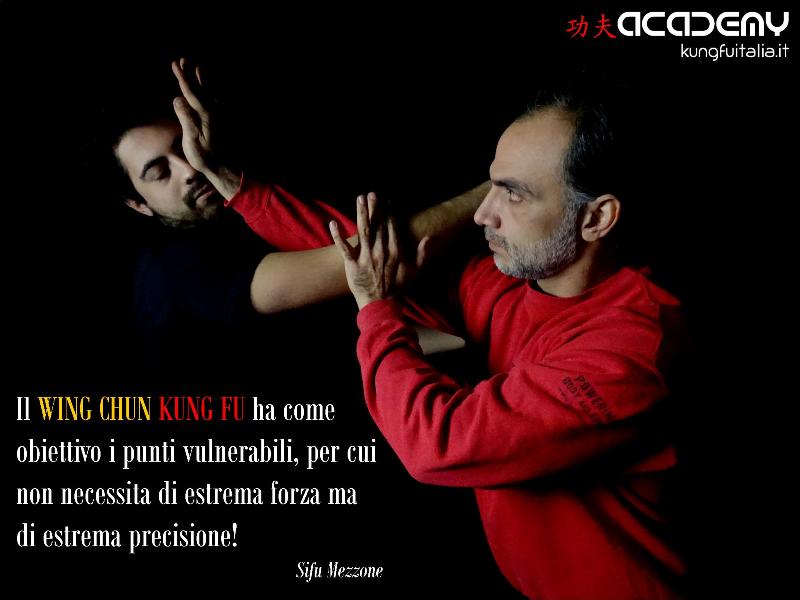 Kung Fu Academy Caserta di Sifu Salvatore Mezzone Accademia di Wing Chun e Tai Chi Quan (1)